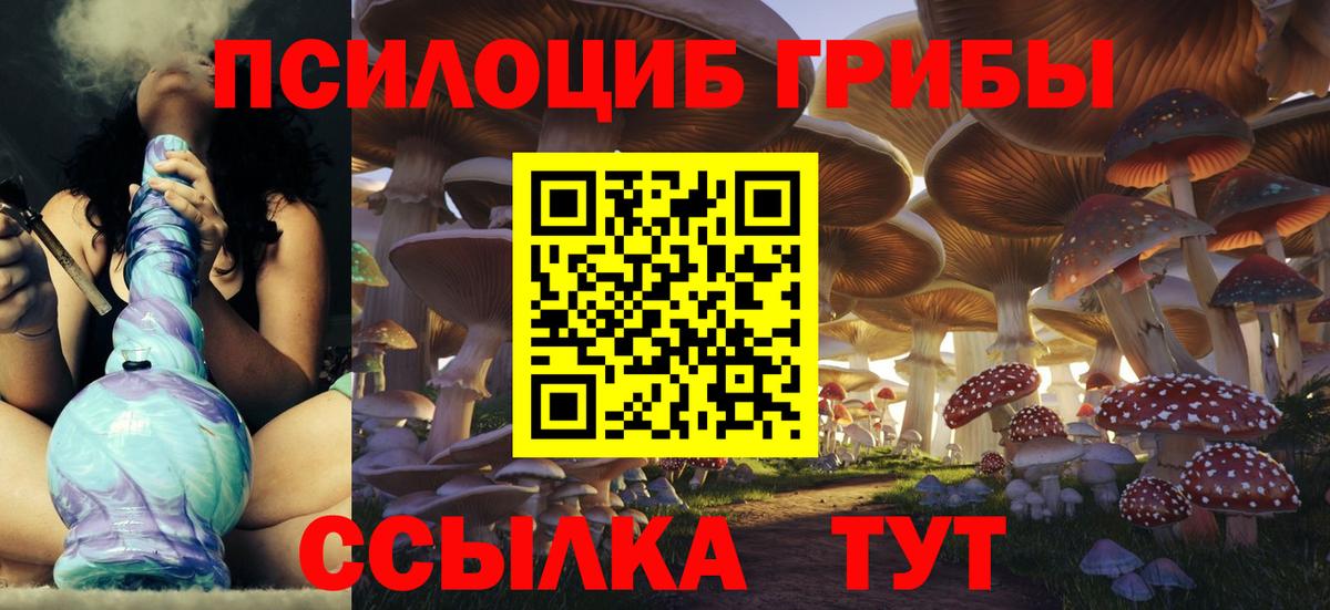 Галлюциногенные грибы Magic Shrooms Зима